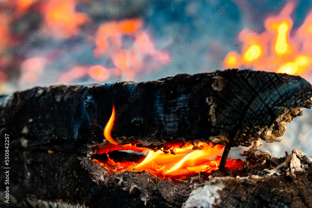 Fototapeta premium A piece of wood is burning from the inside