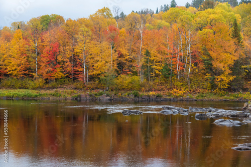Fototapeta Naklejka Na Ścianę i Meble -  Forest with fall colors at La Mauricie national park in Quebec. Canada.