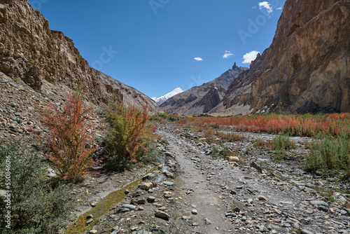 Snow-capped mountain in Markha valley, Ladakh