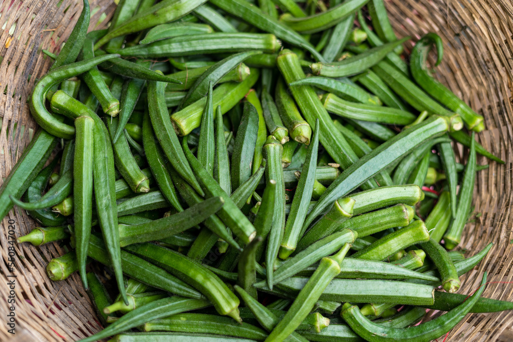 Group of Okra, lady finger in local market for sale. Group of Okra, lady finger in local market for sale.