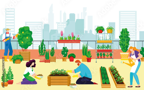 Urban roof landscaping kitchen garden people together organic vegetable, farmer character grow plants cityspace flat vector illustration. © Vectorwonderland