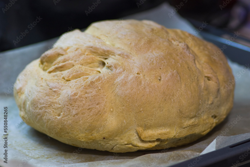 freshly homemade whitebread in the pan, closeup freshly homemade whitebread in the pan, closeup