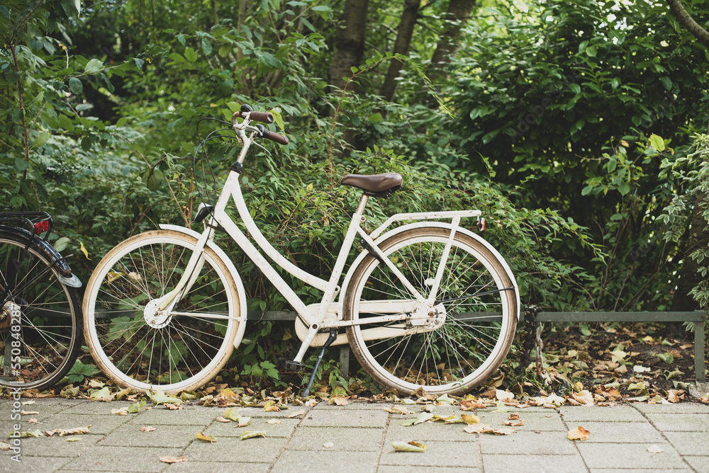 bicycle in the street of Amsterdam