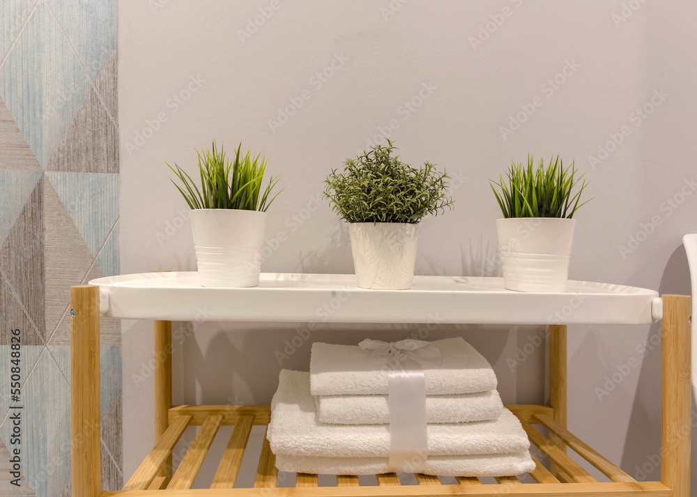 green ornamental plants in white planters green ornamental plants in white planters