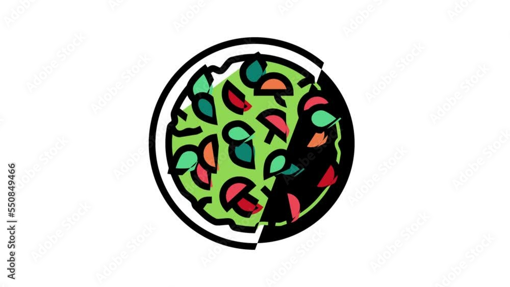 salad prepared from tomato color icon animation salad prepared from tomato color icon animation