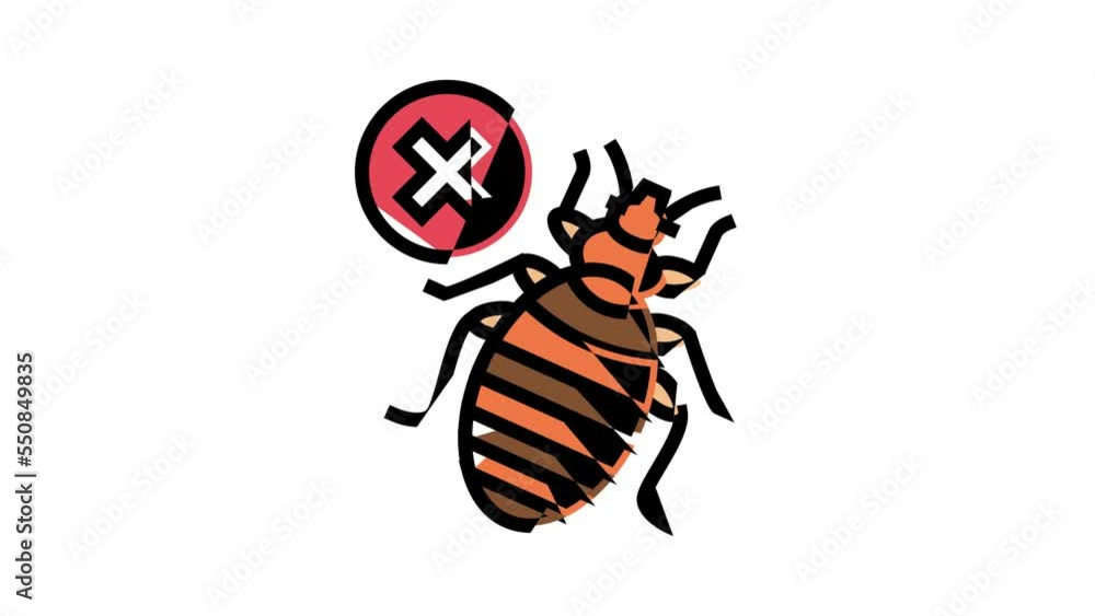bed bug treatment color icon animation