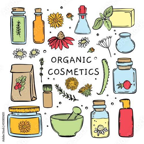ORGANIC COSMETICS COLOR Hand Drawn Sketch Set For Design And Farmaceutics Vector Collection Of Medicinal Plants Their Elements And Packages Finished Drugs