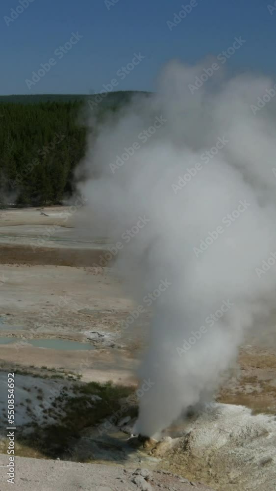 Steady shot of the Black Growler spewing steam at Yellowstone National Park, Wyoming. Steady shot of the Black Growler spewing steam at Yellowstone National Park, Wyoming.