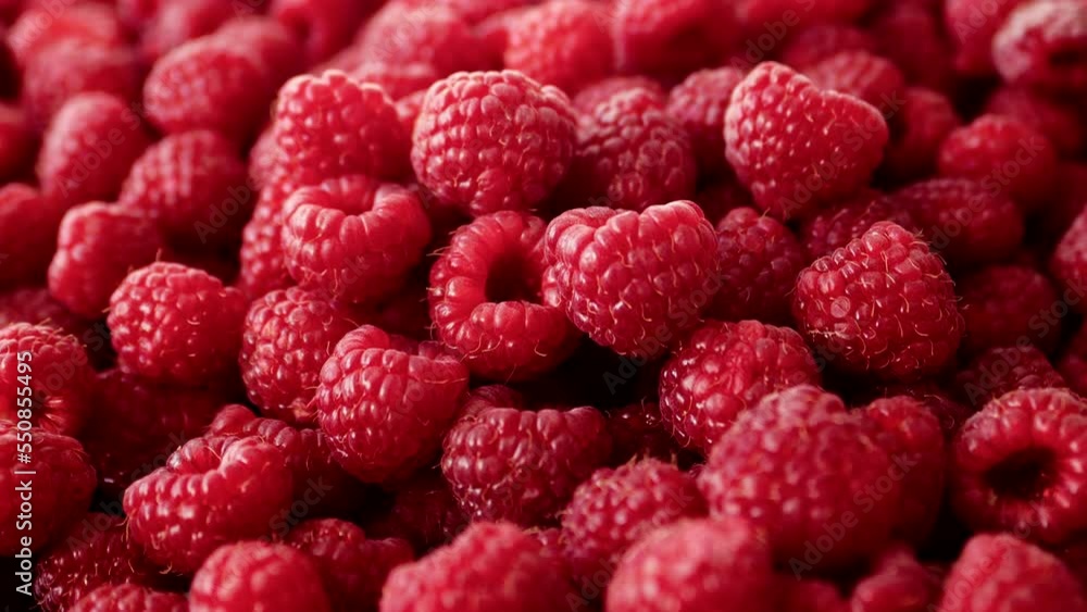 Close-up of beautiful sweet large fresh appetizing red raspberries in large quantities lies on top of each other. The concept of healthy food, organic products Close-up of beautiful sweet large fresh appetizing red raspberries in large quantities lies on top of each other. The concept of healthy food, organic products