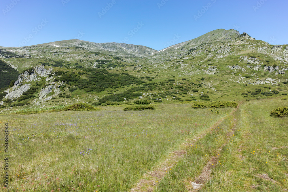 Summer view of Rila mountain near Belmeken Reservoir, Bulgaria