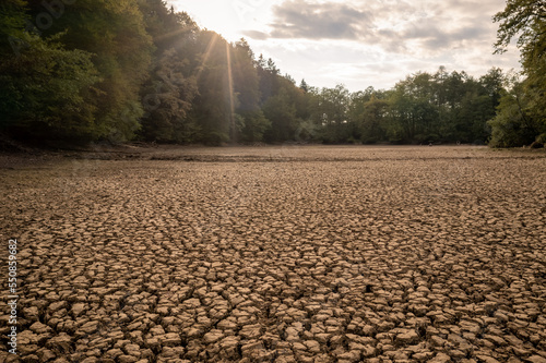 Fotografía Dry mountain river bed in the forest, during the hot summer season, devastating