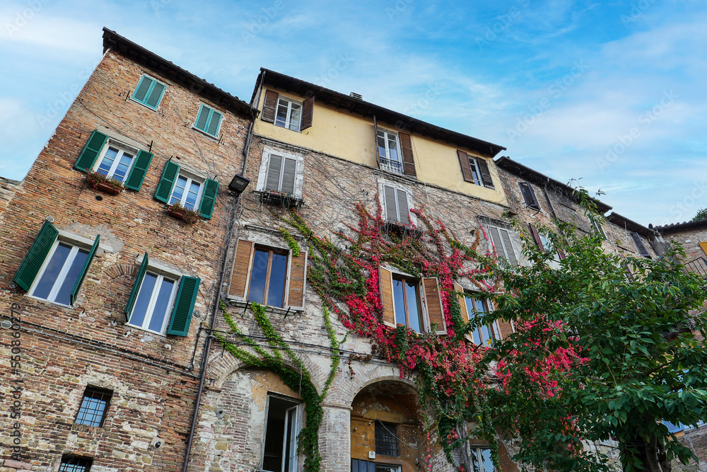 Obraz premium The façade of an Italian house, the shutters on the windows are open, ivy is braiding the wall.