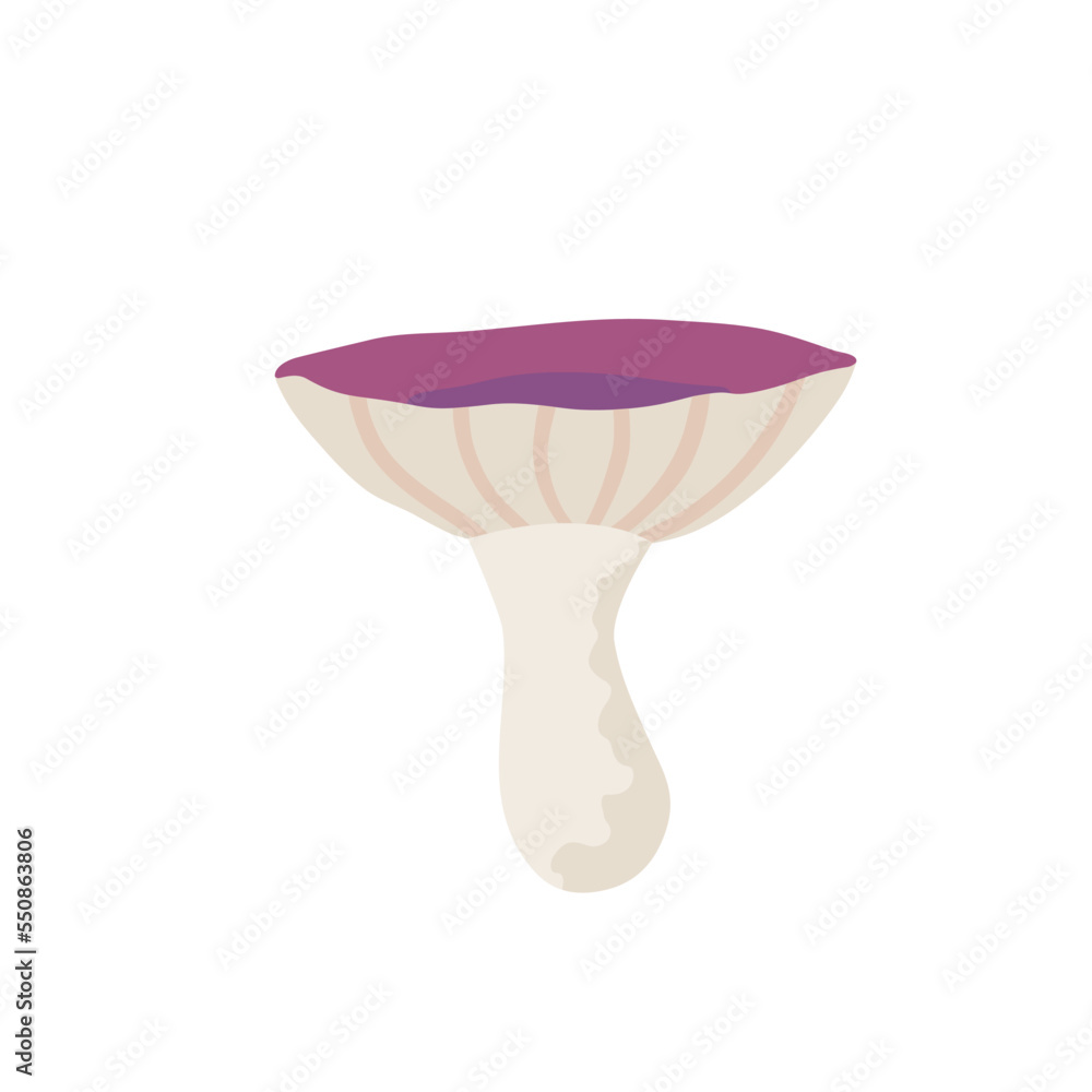 Russula. Forest mushroom. Vector illustration in flat style. Russula. Forest mushroom. Vector illustration in flat style.