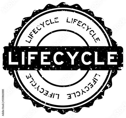 Grunge black lifecycle word round rubber seal stamp on white background