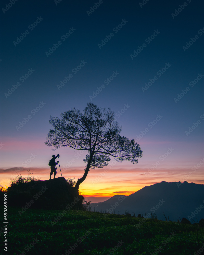 silhouette of a traveler taking pictures of the morning atmosphere under a tree with a beautiful morning sky background