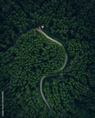 the road is shaped like a snake in the middle of a dense pine forest. Aerial drone view © hanakrisna