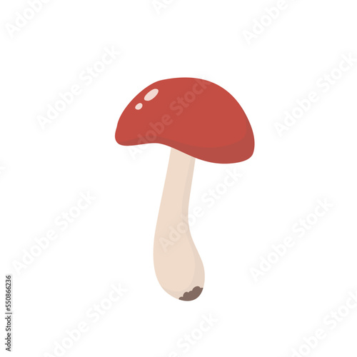 Red capped scaber stalk. Leccinum aurantiacum. Forest mushroom. Vector illustration in flat style.