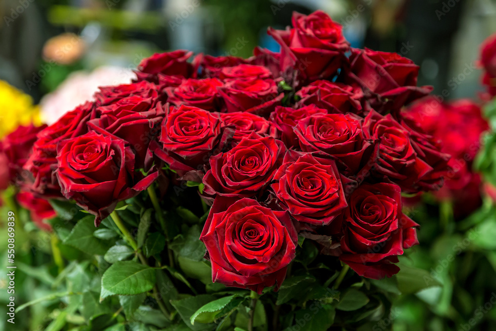 Fototapeta premium close-up roses texture natural background in red tones