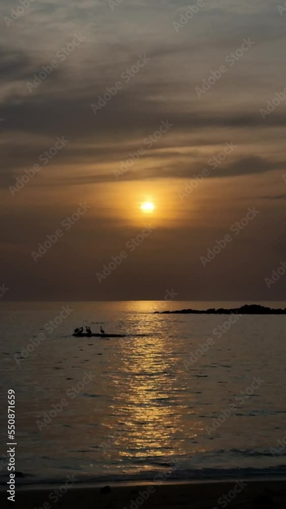 Pelicanos posados en playa al atardecer en Saboda, la perla de Panamá.
Pelicanos posados en playa al atardecer en Saboda, la perla de Panamá.