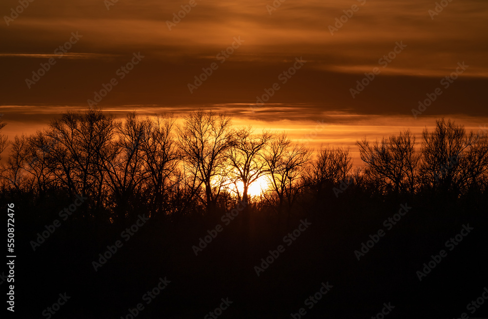 Sunset behind the trees on the horizon in autumn. The photo was taken with a telephoto lens.