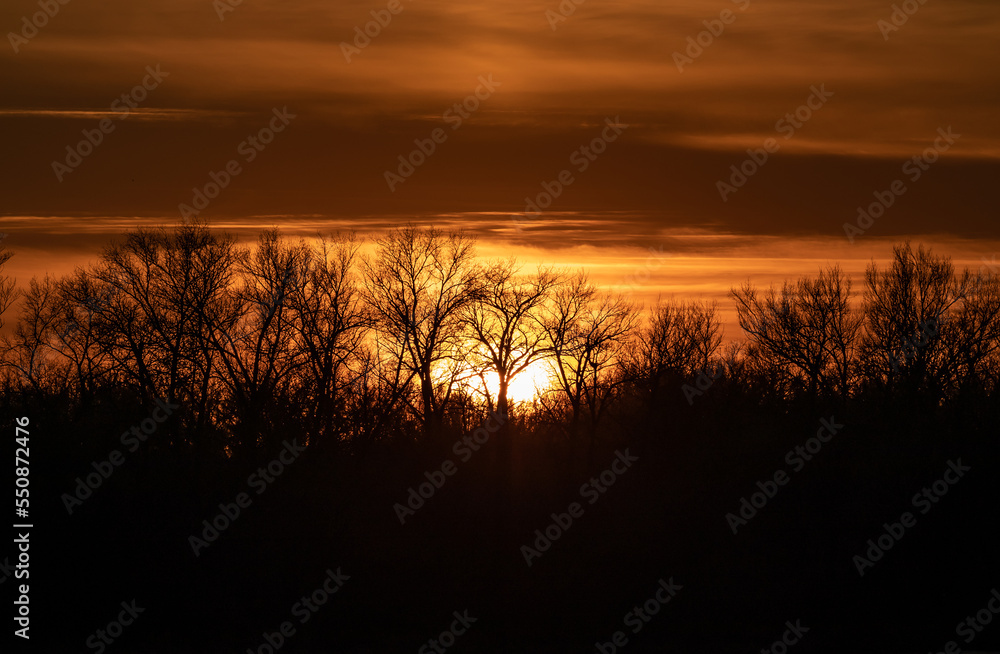 Sunset behind the trees on the horizon in autumn. The photo was taken with a telephoto lens. Sunset behind the trees on the horizon in autumn. The photo was taken with a telephoto lens.