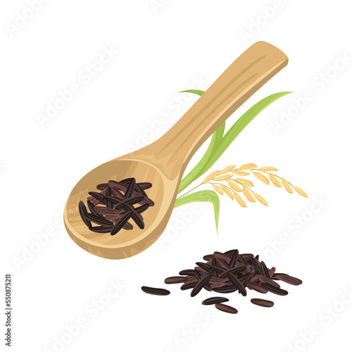 Dark wild rice in wooden spoon and ear isolated on white background. Vector cartoon illustration of rice seed.