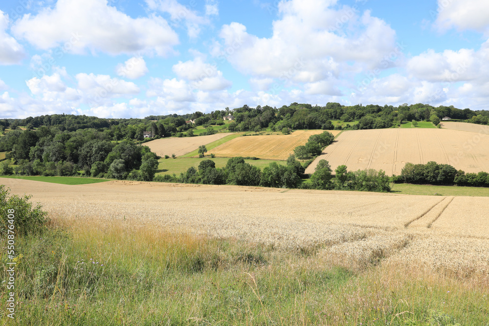 Fototapeta premium Idyllic countryside in Yonne, Burgundy, France