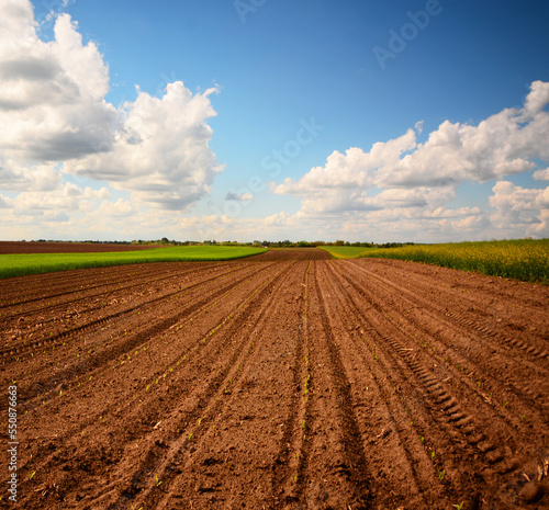 plowed field with blue sky