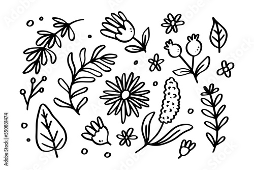 Set of Spring floral hand drawn line art illustration for ornament and design element