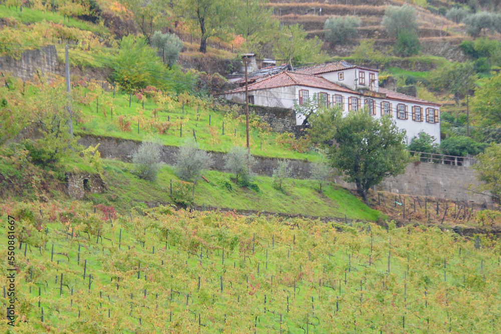 Naklejka premium Landscape and architectural views along the Douro Valley in Portugal