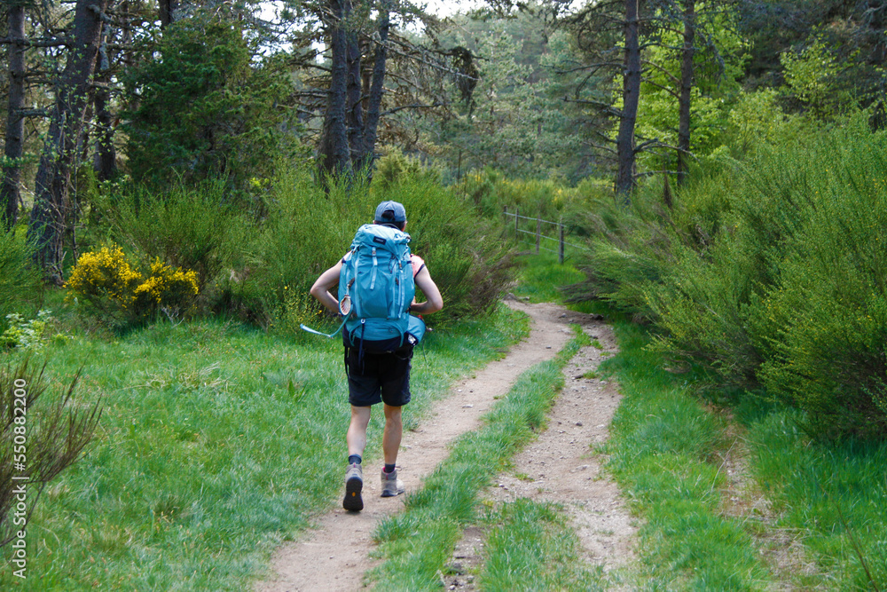 Obraz premium Chemin de randonnée Compostelle GR65