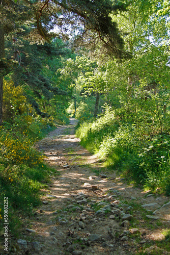 Chemin de randonn  e Compostelle GR65