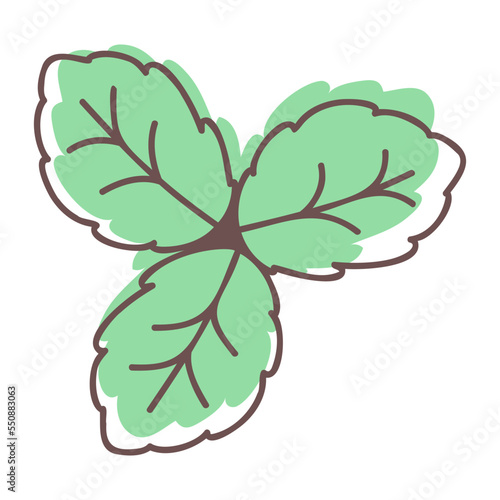 Peppermint