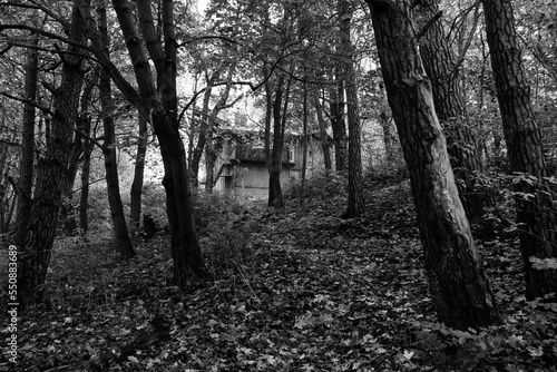 Autumn forest, among which there is an old house.On black and white background.