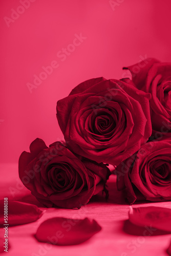 bouquet of red roses on red background