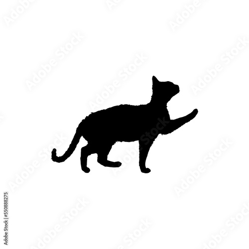 Cat icon. Simple style animal welfare association poster background symbol. Cat brand logo design element. Cat t-shirt printing. Vector for sticker. © Image