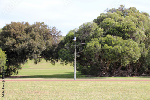 Sir James Mitchell Park in Perth in Australia 