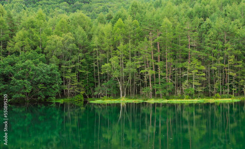 Mishakaike Pond  a beautiful summer landscape in the mountains lake among pine forests Tree reflections in the water at Shino Nagano  Japan.