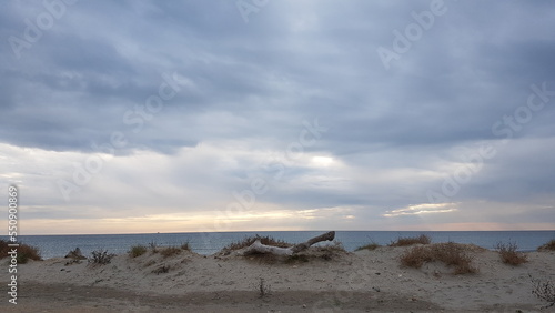 L'hiver à la mer