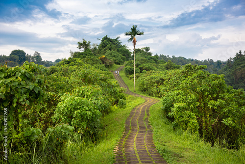 Campuhan ridge walk in Bali, Indonatia. A famous pathway in tropical forest photo