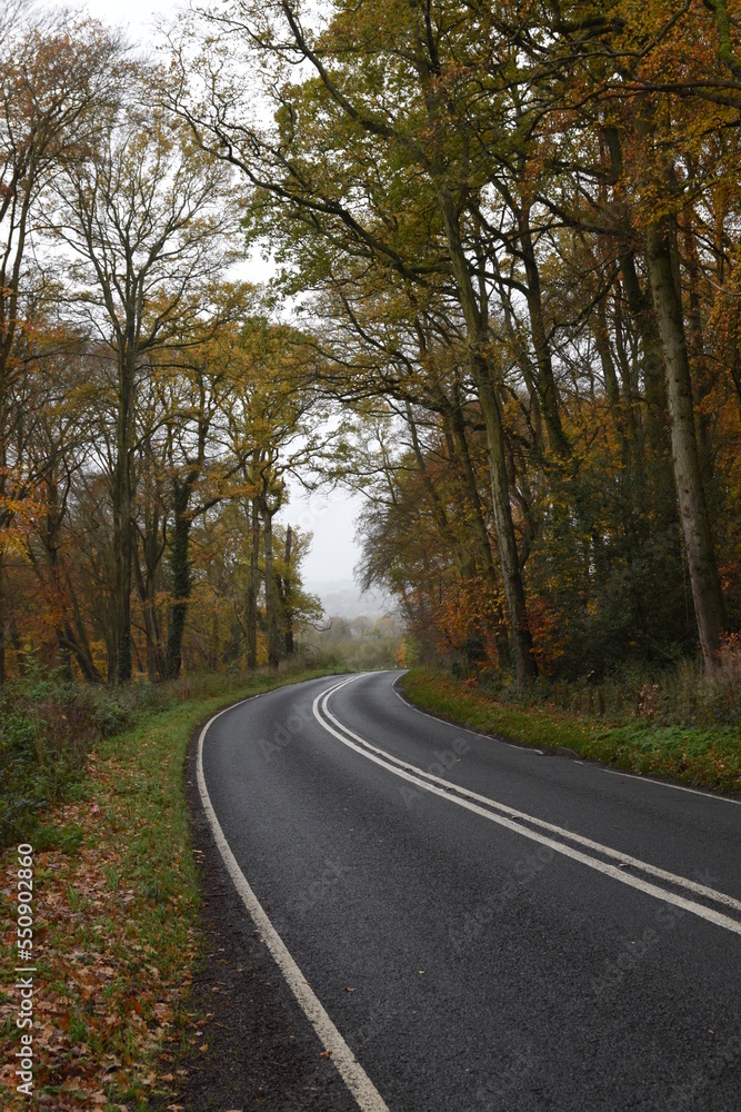 hanbury road going though piper's hill and Dodderhill common forest also known as Hanbury woods during a cloudy autumn day