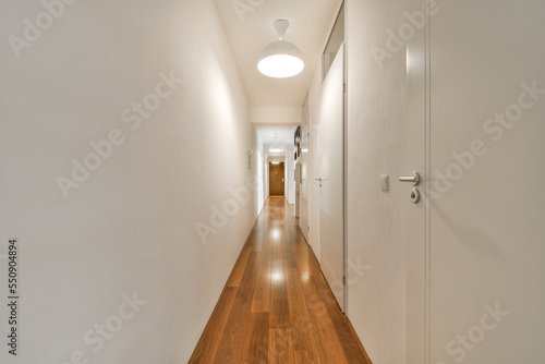 Empty corridor of the interior of a modern apartment