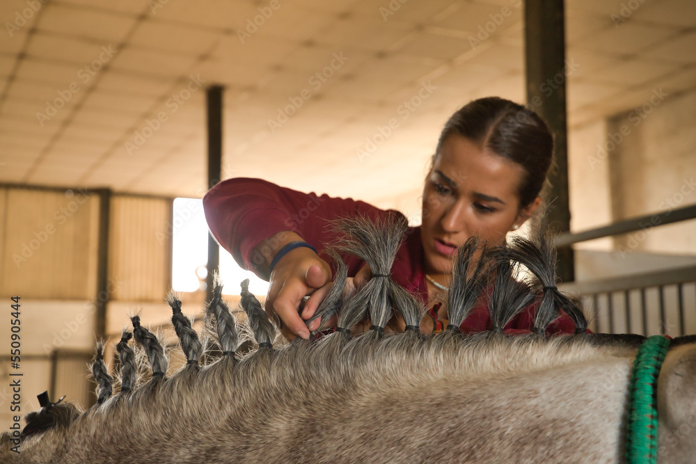 Detail of hands of young and beautiful woman braiding the mane of a horse in a stable. Horse riding concept, animals, hairstyles, care, horsewoman.