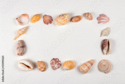 Summer beach or sea concept. Frame from seashells, starfish on sand. View from above. Copy space.