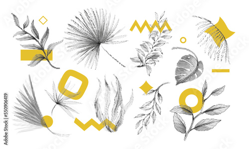 Abstract dot leaf, palm flowers. Graphic plant leaves, tropical decor elements, geometric points. Half tone gray decorative objects. Dots graphic. Jungle botanical set. Vector pattern texture