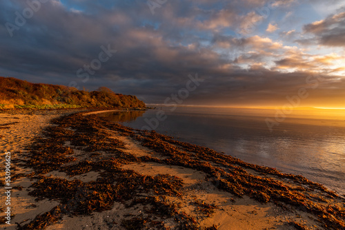 Sunrise at Penrhos Nature Park  Isle of Anglesey  North Wales 