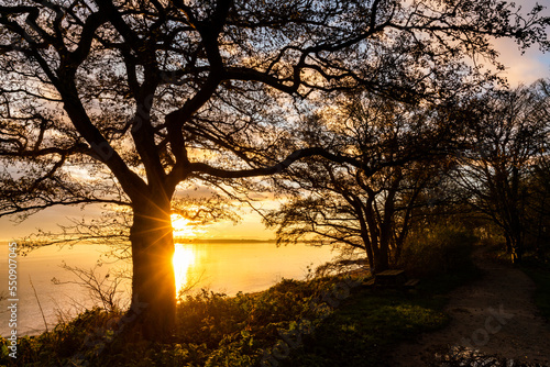 Sunrise at Penrhos Nature Park  Isle of Anglesey  North Wales 