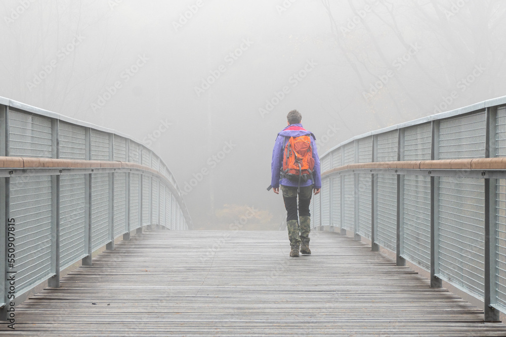 Wandern im Nebelwald/Lausitzer Gebirge 3