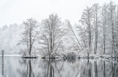 Teichinsel im Schnee (bei Wulkow: Ostprignitz- Brandenburg) © Lutz