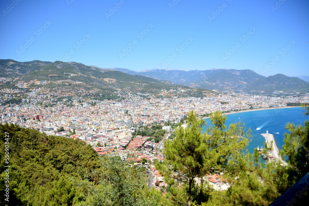 Alanya town with mountains view from top through pine trees